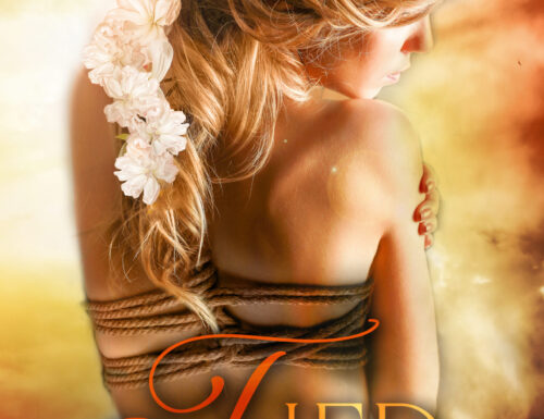 Tied (Volume#6 Winchester Series)